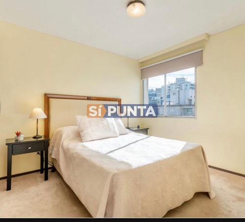 Imagen 7 de 12 de Apartamento En Venta - Brava