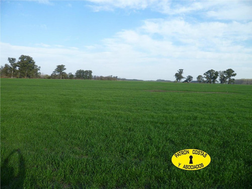 Imagen 7 de 11 de 2323hp-148 Has Agricolas R47 Lujan Con Instal