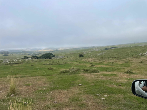 Imagen 17 de 21 de 270 Hectareas Ganaderas A 28 Km De Minas 3300 Dólares La Hec