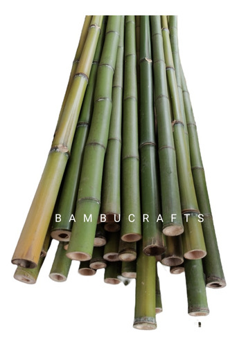 25 Varas De Bambú Natural Jardin Cerca 120 Cm / 2-3cm Grosor