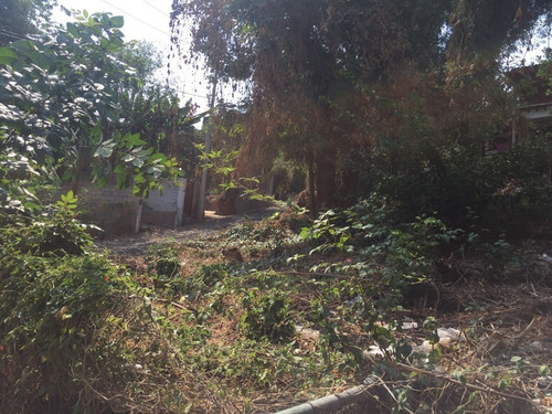 Imagen 4 de 7 de ¡terreno En El Pueblo Con Excelente Ubicación!