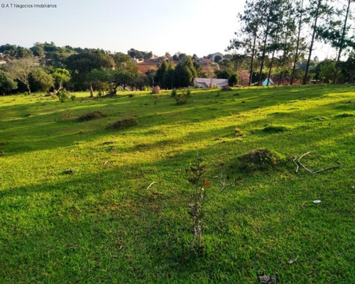 Imagem 7 de 22 de Sítio À Venda No Distrito Do Porto - Capela Do Alto/sp - St00280 - 69520129