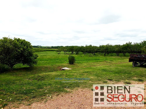 Chacra De 8,4844 Hás En Venta En Juanicó