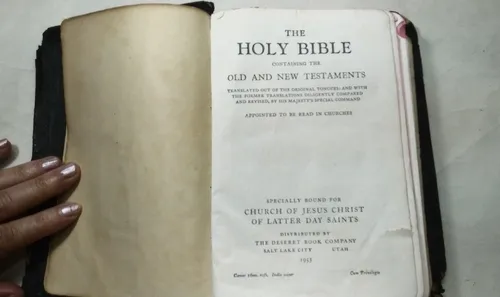 Santa Biblia En Ingles Concordancia Diccionario (Usado)