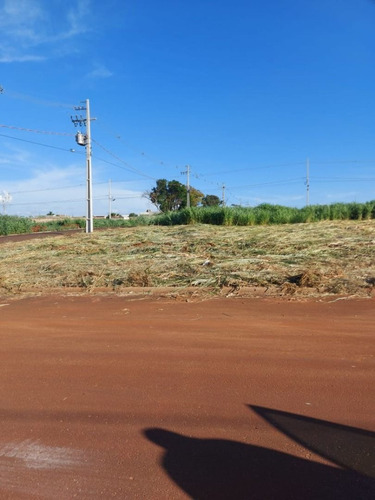 Imagem 8 de 8 de Terreno À Venda, 200 M² Por R$ 60.000,00 - Loteamento Vila Maria - Foz Do Iguaçu/pr - Te0467