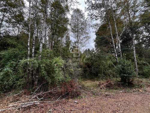 Parcela En Fresia Con Acceso Al Rio Llico