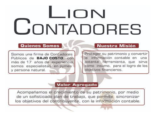 Imagen 6 de 10 de Contador Público En Bogota Para Pymes Lion Contadores S.a