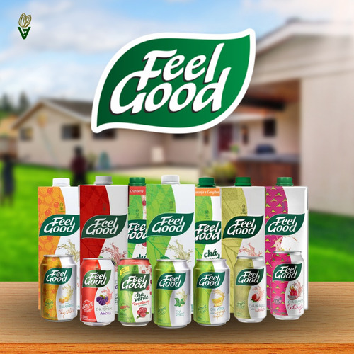 Kit 12 Chá Feel Good Verde Sabor Laranja E Gengibre 330ml