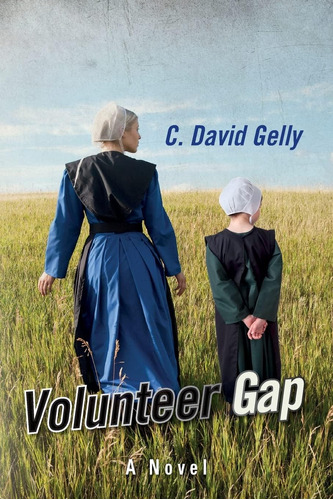 Libro:  Volunteer Gap