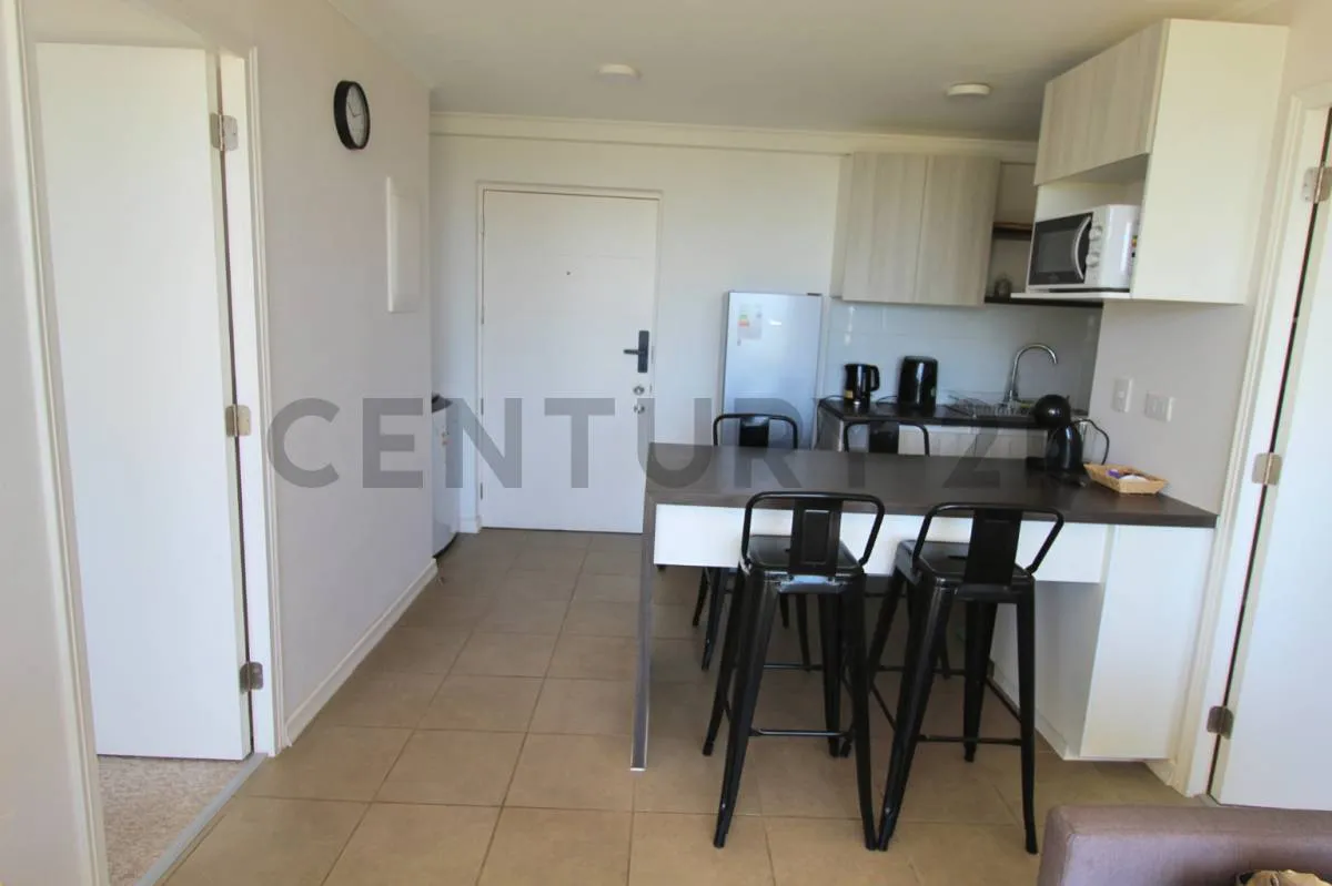 Imagen 4 de 15 de Arriendo Departamento Cercano Al Faro, La Serena