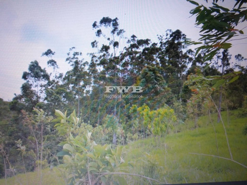 Imagem 22 de 28 de Fazenda Em Rio Preto Minas Gerais - 2044007423 - 67629041