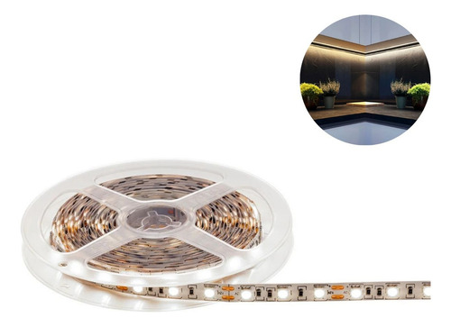 Fita Led 20w 240 Leds 5m 12v Ip20 Taschibra Sanca Decoração Luz Luz Quente 127/220v