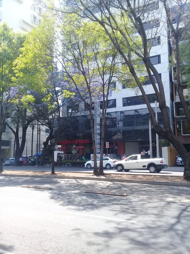 Imagen 3 de 4 de Insurgentes Sur 1787, Colonia Guadalupe Inn