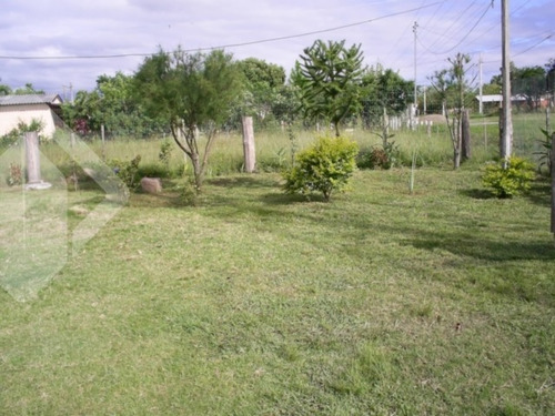 Imagem 6 de 15 de Chacara/fazenda/sitio - Restinga - Ref: 192994 - V-192994