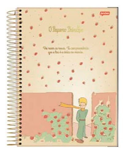 Caderno Pequeno Principe Vermelho Jandaia 1 Matéria 96 Fls