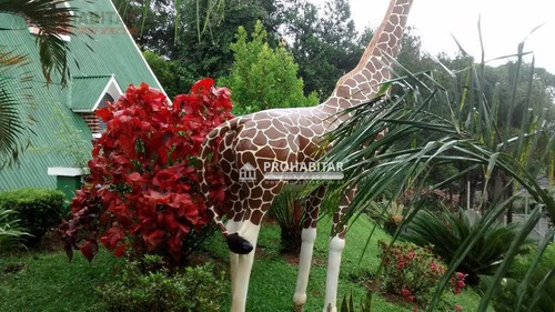 Imagem 6 de 30 de Chácara Rural À Venda, Cipó, Embu-guaçu - Ch0097. - Ch0097