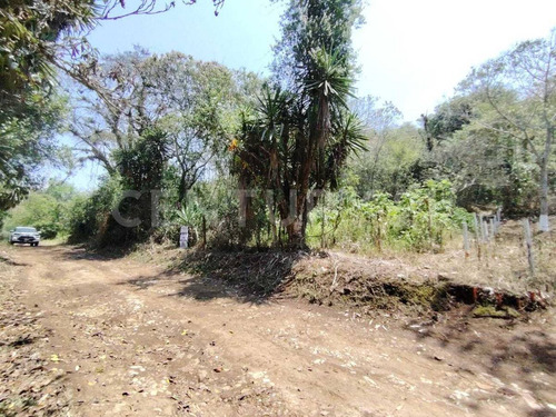 Venta Terreno 1387.409 M2 Rustico Con Escritura, Zona Universitaria A 9 Min