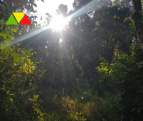 Imagem 9 de 30 de Chácara À Venda Em Contenda, Araucária R$ 500.000,00 - Ch00113 - 68066926