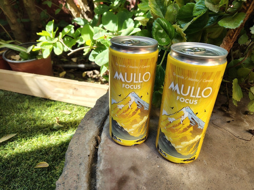 Mullo 330 Cc _ Bebida Natural Herbal Y Frutal