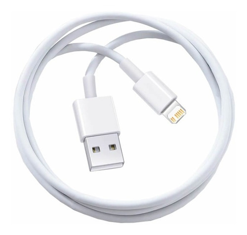 Cable Usb Para iPhone 11, 12, 13 Pro Max, Xr, Xs, Se, iPad