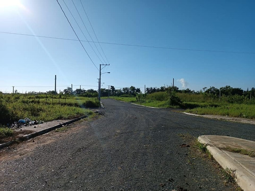 Imagen 12 de 14 de Vendo Solar Comercial De 150 A 385 Mt2 En Plena Avenida Ubicado En Residencial Privado Con Agua Luz Y Calles En Santo Domingo Norte Próximo A La Estación Del Metro Mamá Tingo, La Sirena Y El Parque P