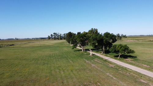 Lotes Con Escritura - Barrio Parque Las Margaritas - Domselaar San Vicente