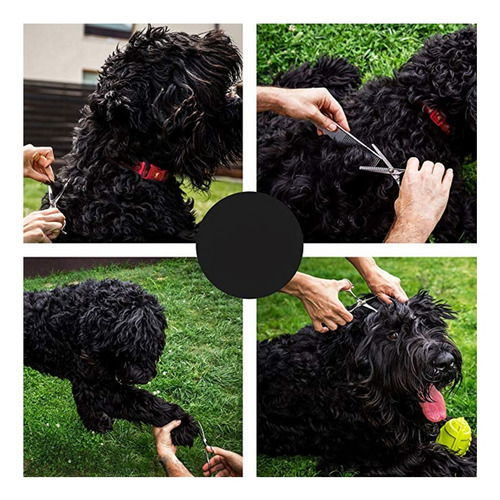 5 Unids / Set Tijeras Para Pelo De Perros Rectas Curvas