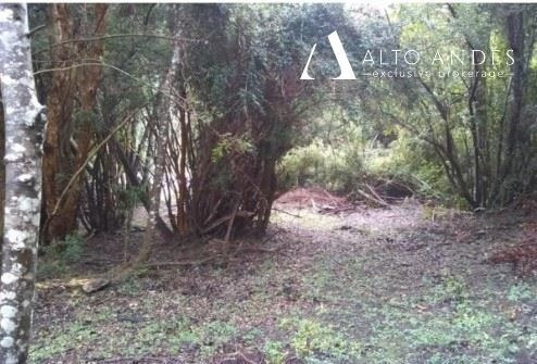 Imagen 8 de 13 de Sitio En Venta En Cochamo