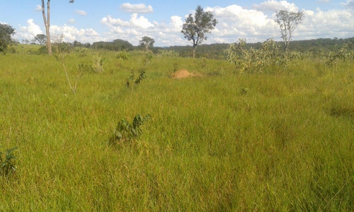 Fazenda A Venda 117 Hectares Com Granja Centro-oeste De Mg - 14532
