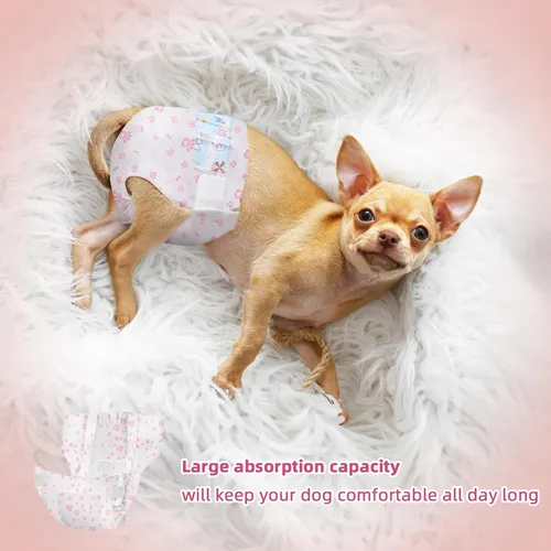 20 Pañales Desechables Para Perros Pañal Gatos Mascotas L