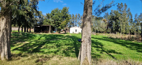 Venta Chacra 28 Ha Abayuba Arroyo Y 2 Tajamares C.rigel