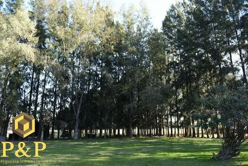 Imagen 3 de 4 de Terreno Lares De Canning (ezeiza)