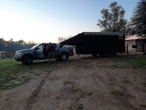 Imagen 4 de 5 de Traslado De Caballos