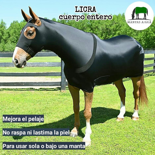 Imagen 2 de 6 de Manta Capa Para Caballo De Lycra Licra (desc. Venta Directa)