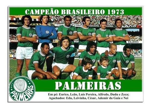 Poster Do Palmeiras - Campeão Brasileiro 1973