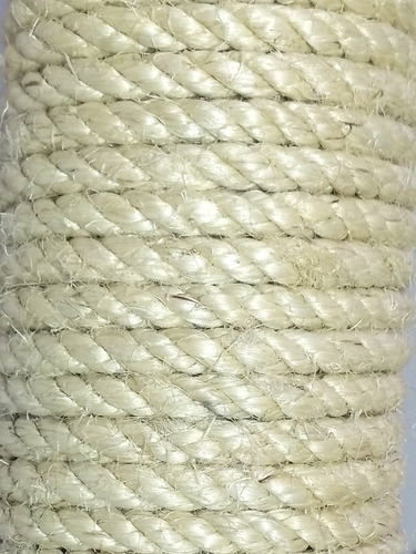 Cabuya De Fique