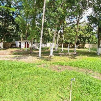 Imagem 7 de 14 de Chácara No Bairro Jardim Coronel, Em Itanhaém, Ref : 8851 Wa