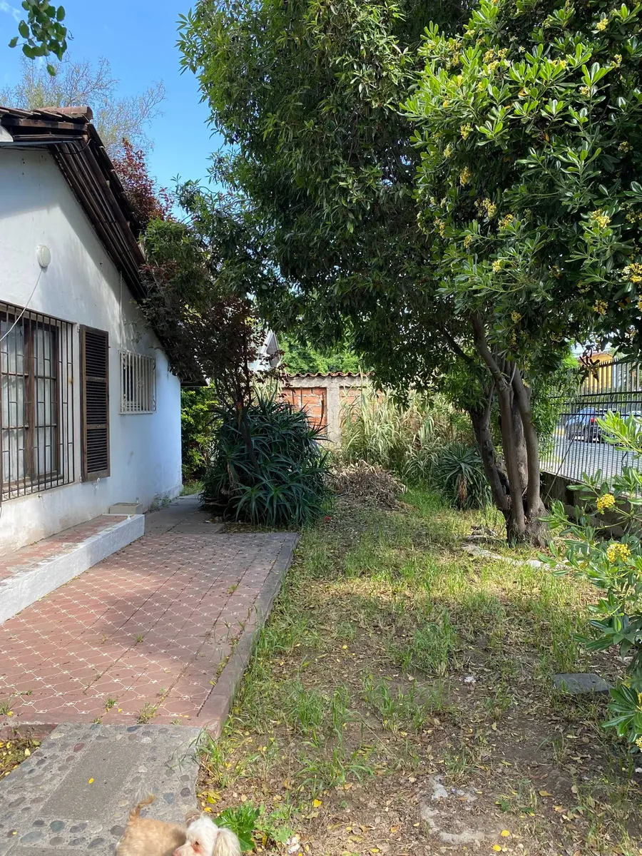 Imagen 2 de 23 de Casa Con Gran Terreno/metro R.araya (63432)
