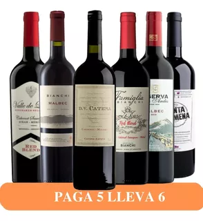 Oferta De Vino Rutini En Combo (6 Botellas)a. Quirino