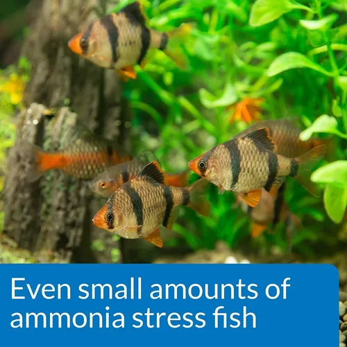 Prueba Amoniaco Ammonia Test Kit Api Agua Acuario Peces