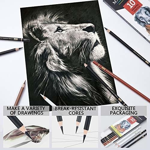 Paquete De 10 Lápices De Carbón De Color Para Dibujar