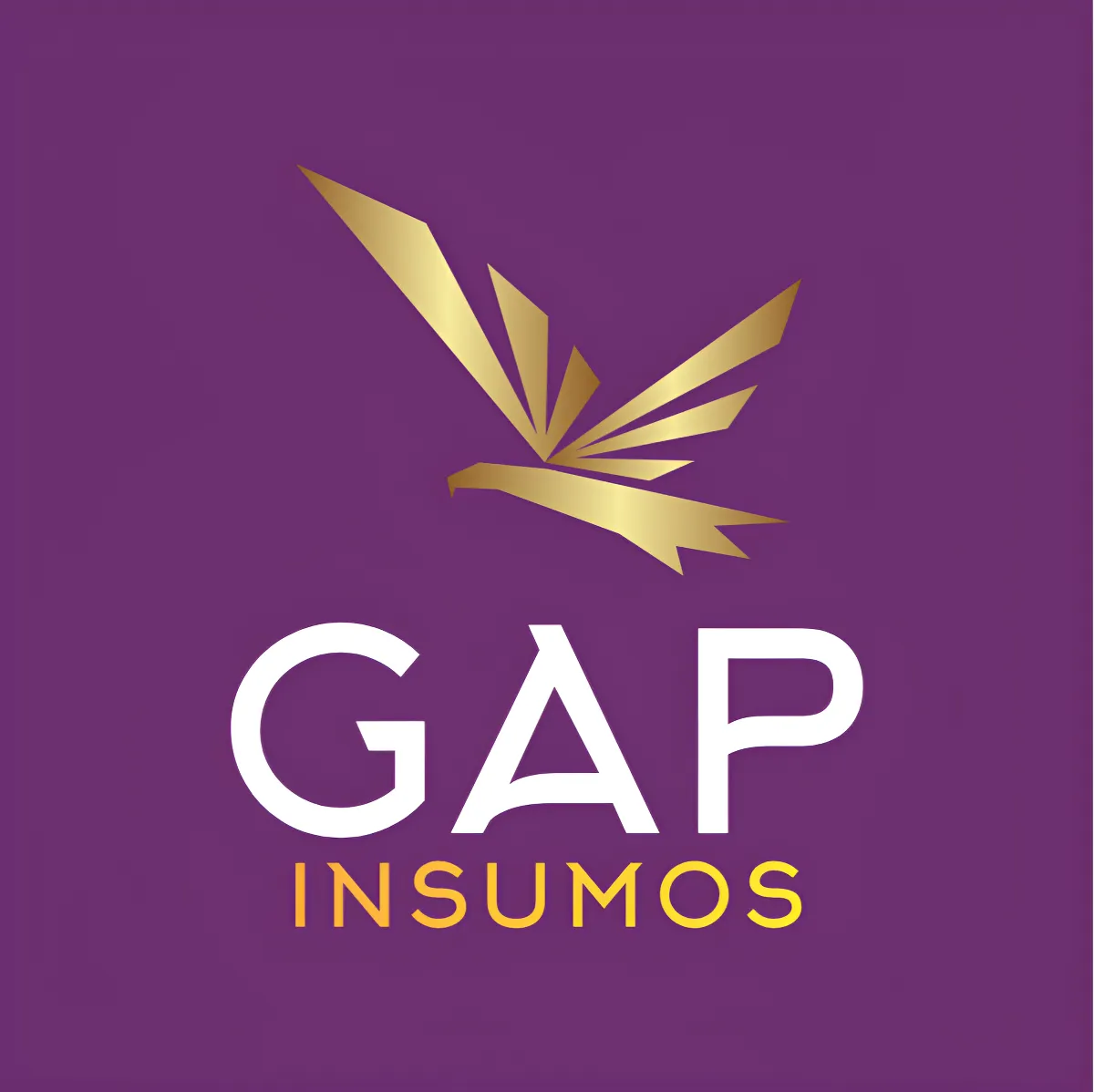 GAP INSUMOS