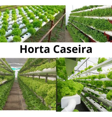 Projeto Completo Horta Organica 2024 / 2025 Pack Digital