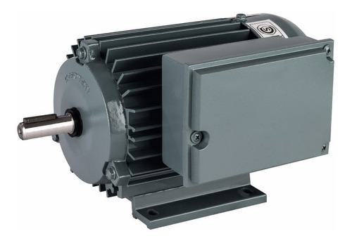 Imagen 1 de 9 de Motor Monofasico Czerweny Blindado Alto Par A90lmc 1.5 Hp