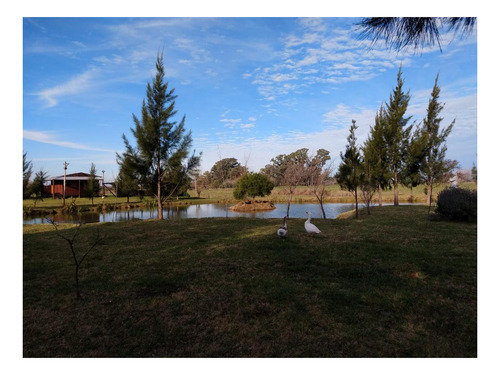 Imagen 7 de 27 de Campo Venta 3 Cabañas Pileta, Laguna, Cancha De Fútbol, Arbolada -1.8 Hectáreas - Magdalena