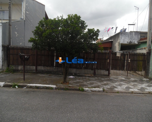 Imagem 2 de 13 de Terreno - Te00146 - 69821703