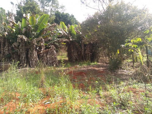 Imagem 18 de 20 de Chacara Em Ibiuna Cod: 1350