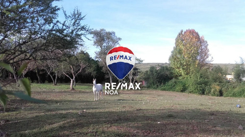 Imagen 1 de 1 de Terreno Venta San Lorenzo 1.112 M2