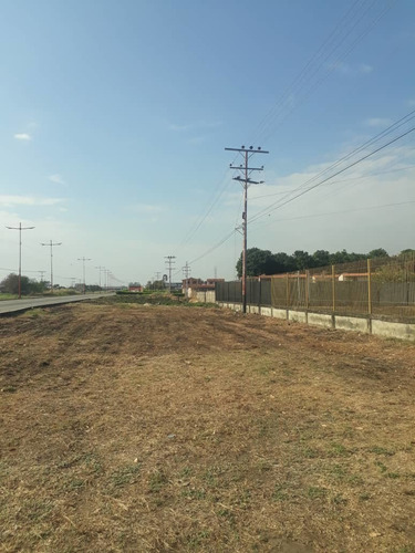 Imagen 3 de 3 de Terreno En Venta En La Troncal 5 De Barinas Edo Barinas