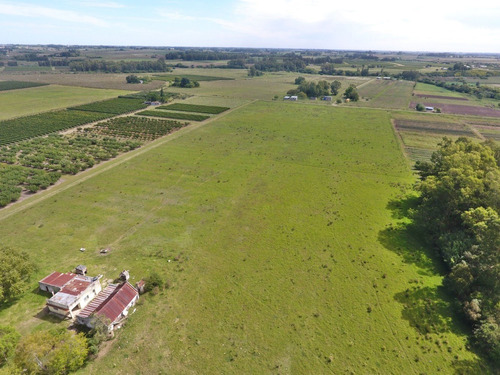 Exte. Chacra 6hás 4800m2 En Las Violetas